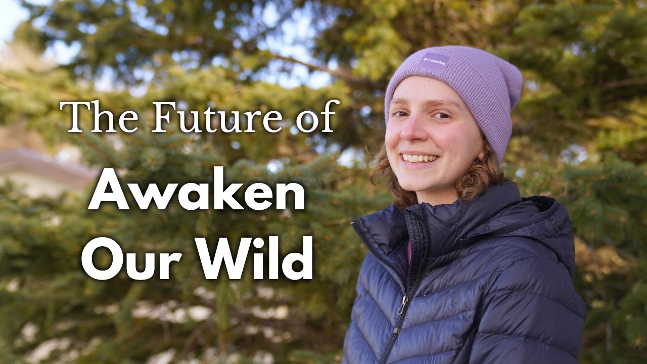 Будущее проекта Awaken Our Wild (личное сообщение и обновление канала)