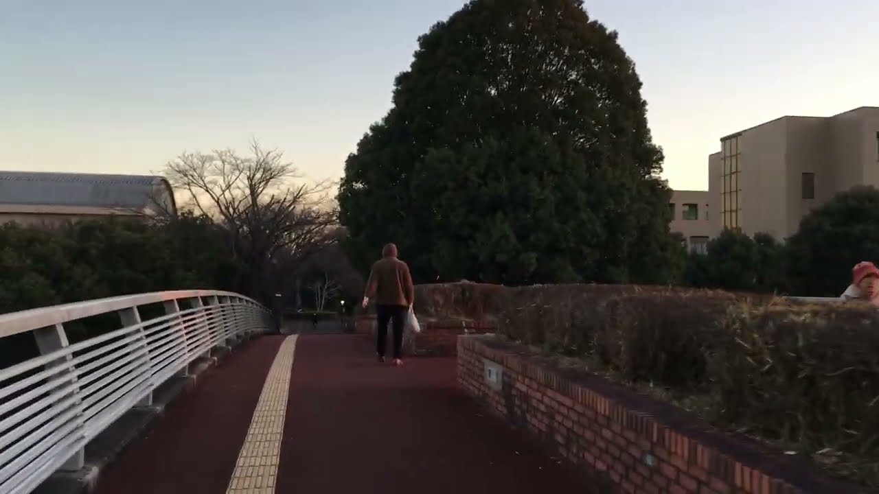 University of Tsukuba (Hirasuna dormitory) to Tsukuba Center (Expo center)