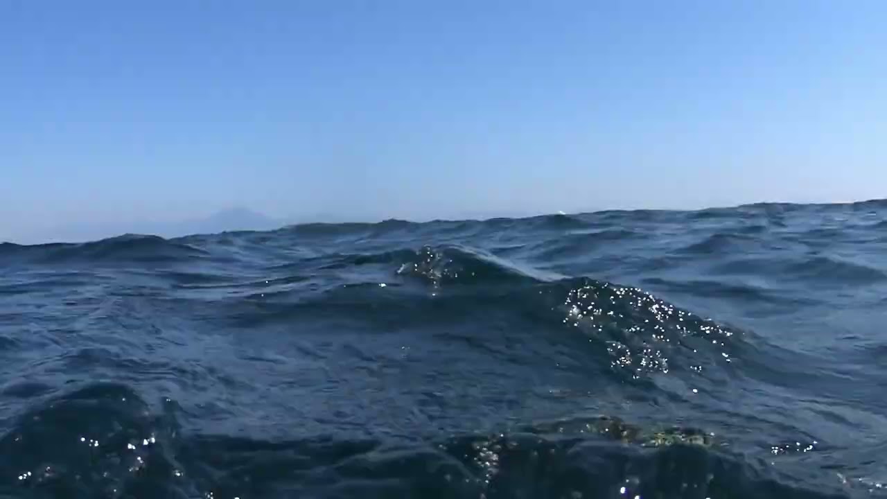 Pescasub barracuda (luccio)