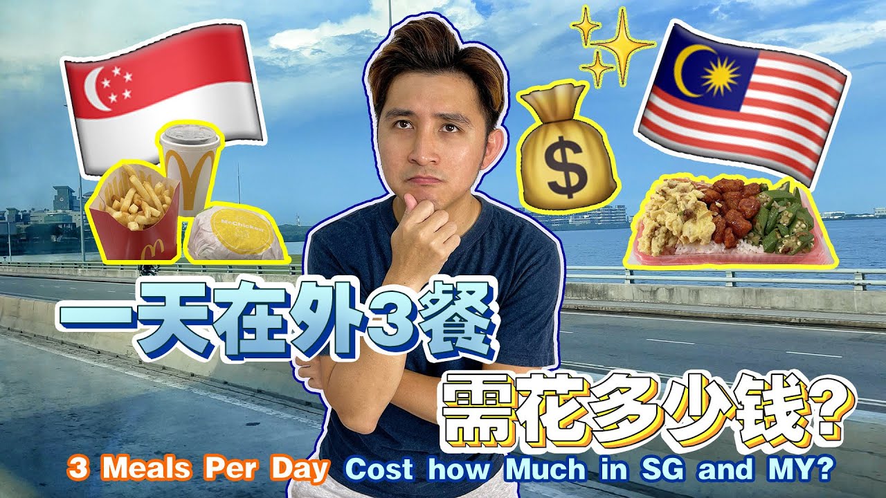 🇲🇾VS🇸🇬！一天三餐的消费哪里比较贵？【MY vs SG, how much for 3 meal per day outside?】