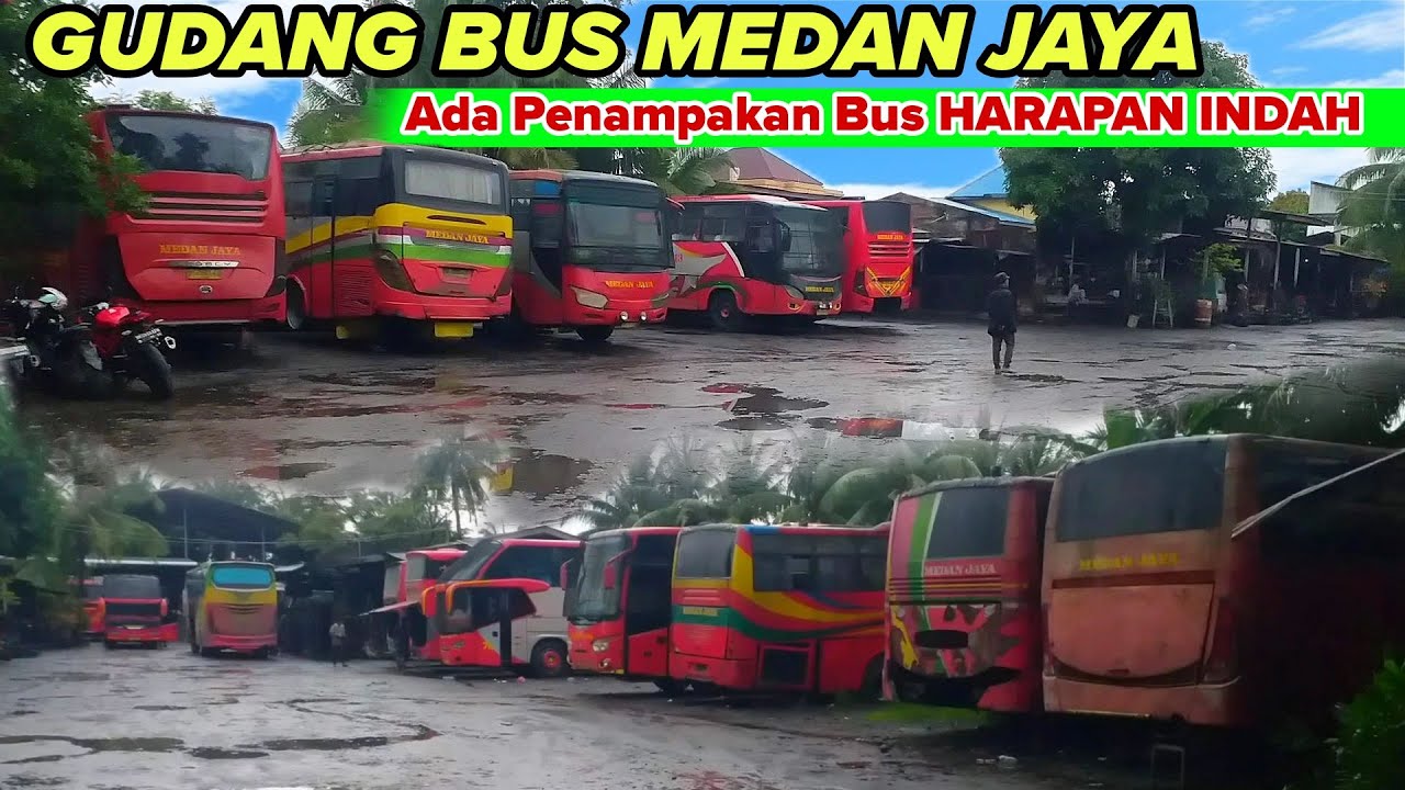 UPDATE ,,GUDANG BUS MEDAN JAYA || ADA PENAMPAKAN BUS HARAPAN INDAH ,,BODY AVANTE