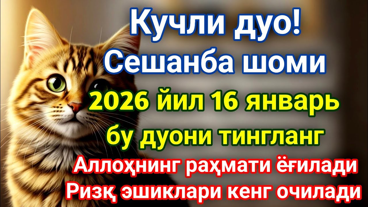 Берекали Жума шомидаги энг кучли дуо!Оятул Курси — кучли ризқ дуоси