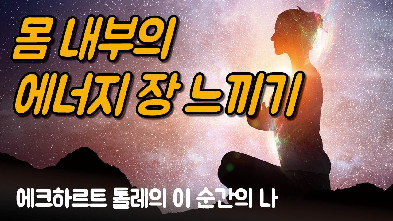 몸의 내부에서 경계가 사라지는 것을 느낄 수 있습니다 | 에크하르트 톨레의 이 순간의 나