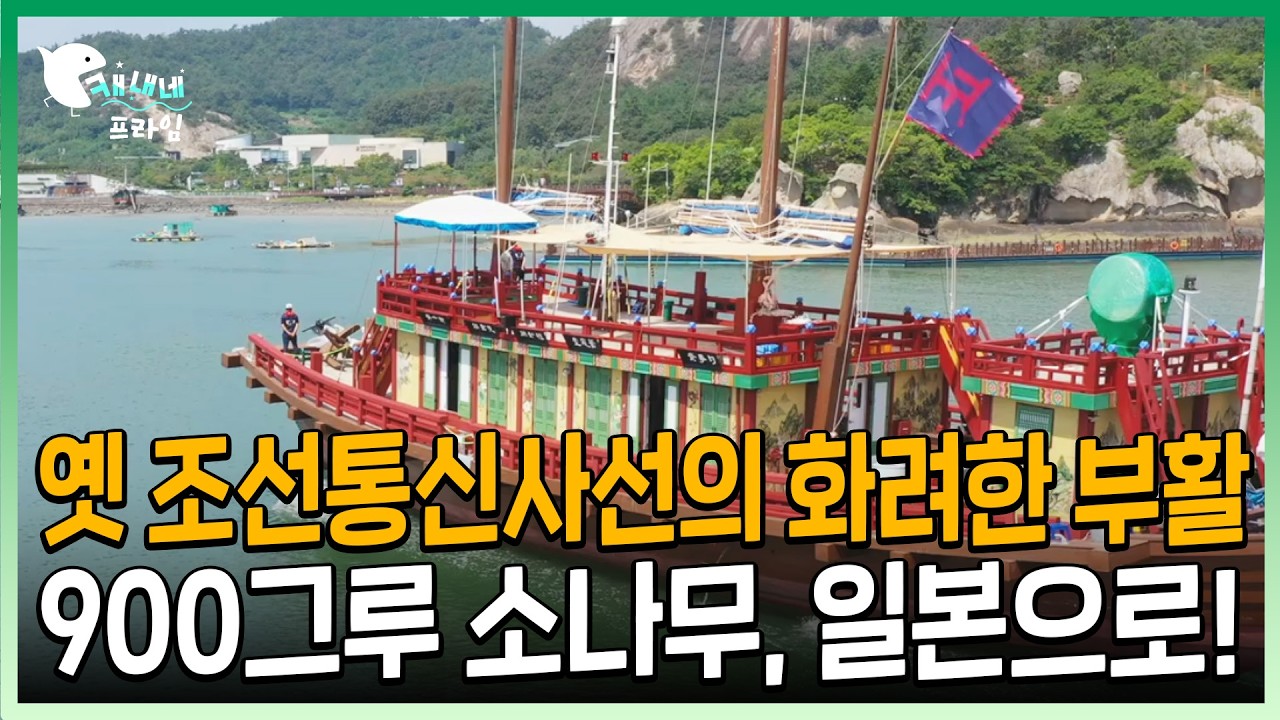 옛 조선통신사선의 화려한 부활 900그루 소나무, 일본으로! | 조선통신사선 복원 홍순재 | 新조선통신사 - 위대한 유산