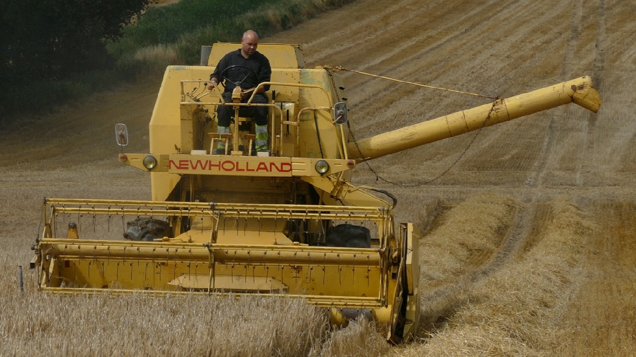 NEW HOLLAND CLAYSON 1530 Harvesting In Denmark