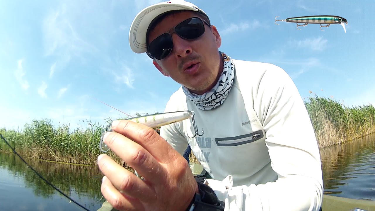 Rapala BX MInnow   Incinta Cormoran