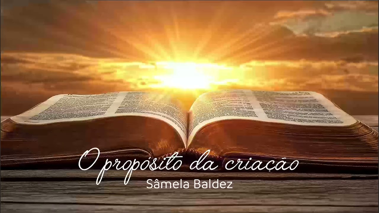  O propósito da criação 