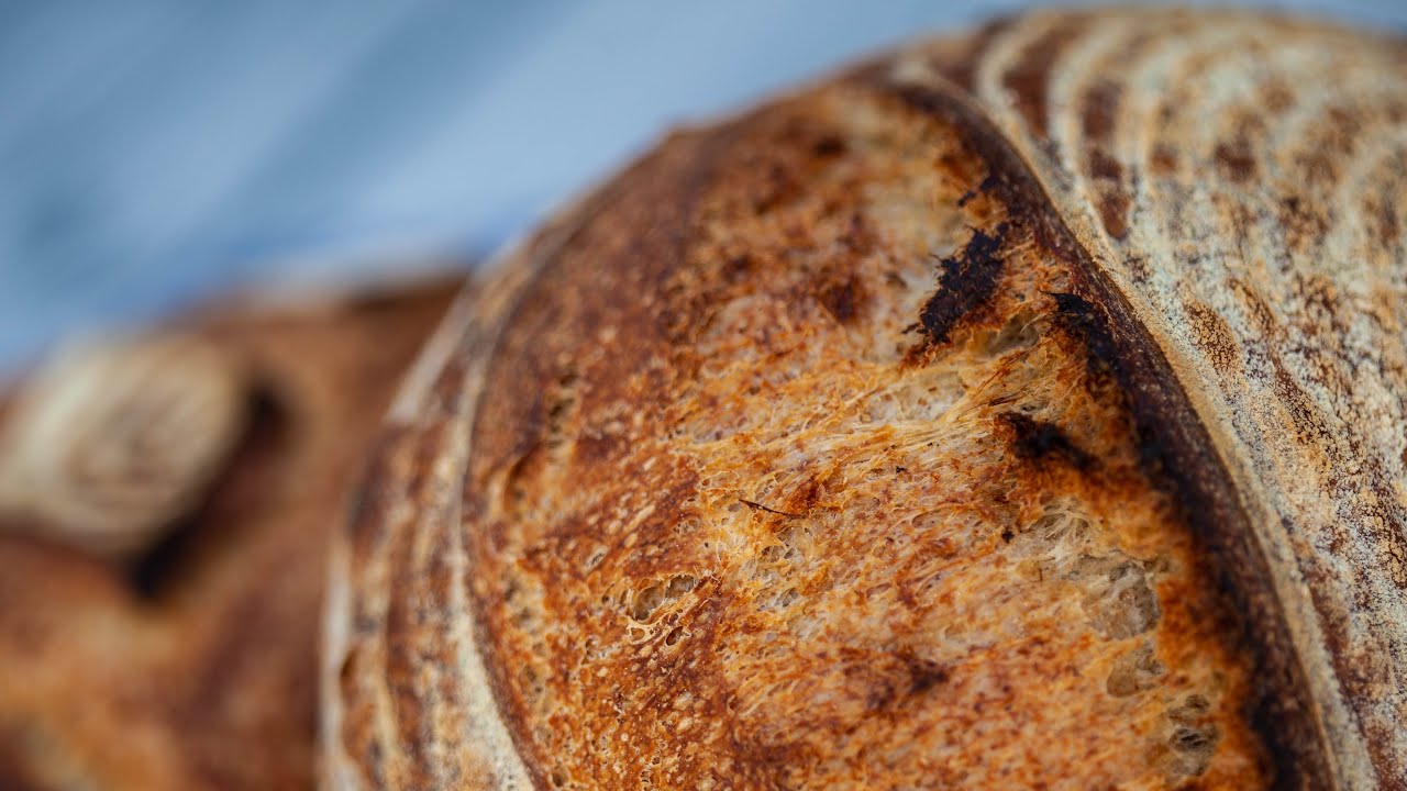 Beginner SOURDOUGH BREAD recipe - Learn how to make sourdough AT HOME!