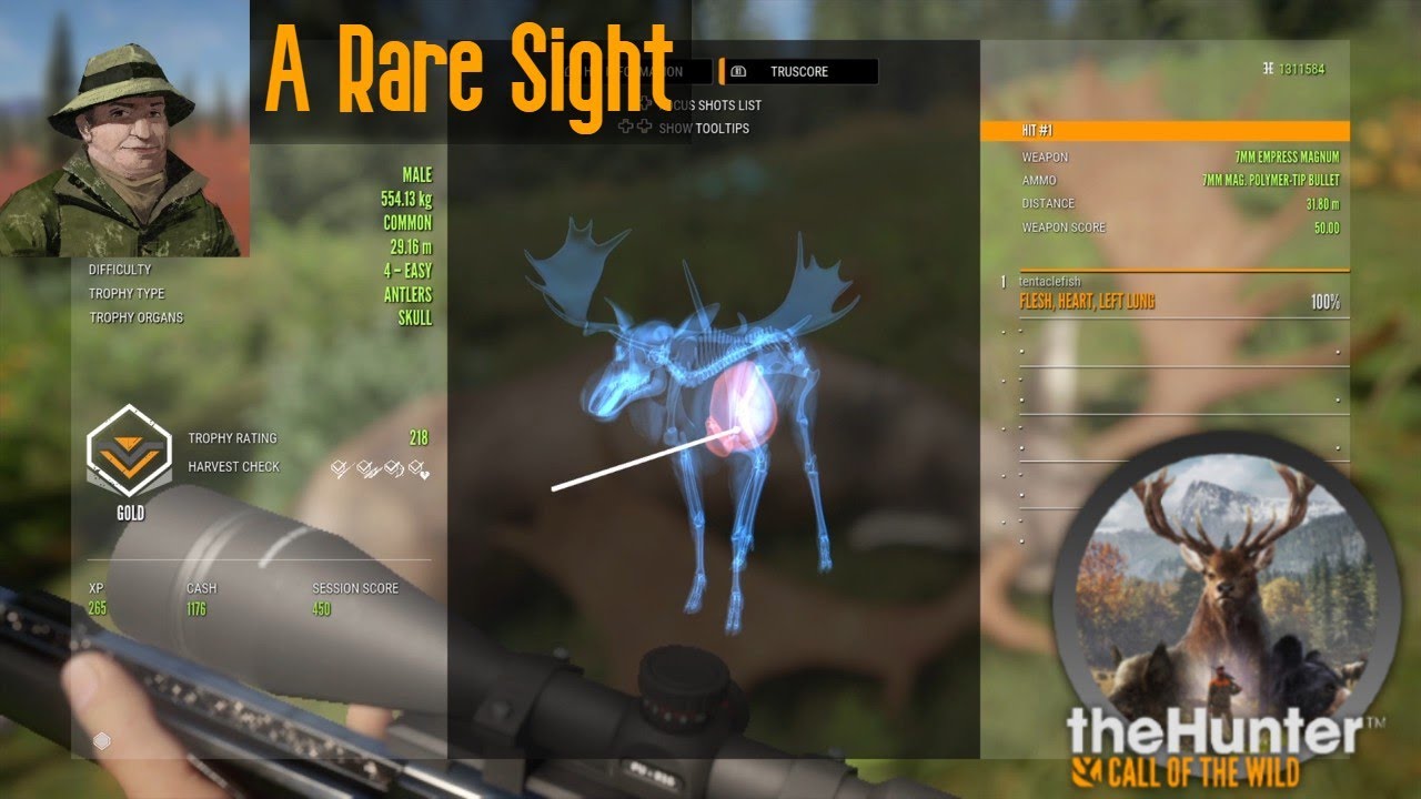 A Rare Sight theHunter Call of the Wild