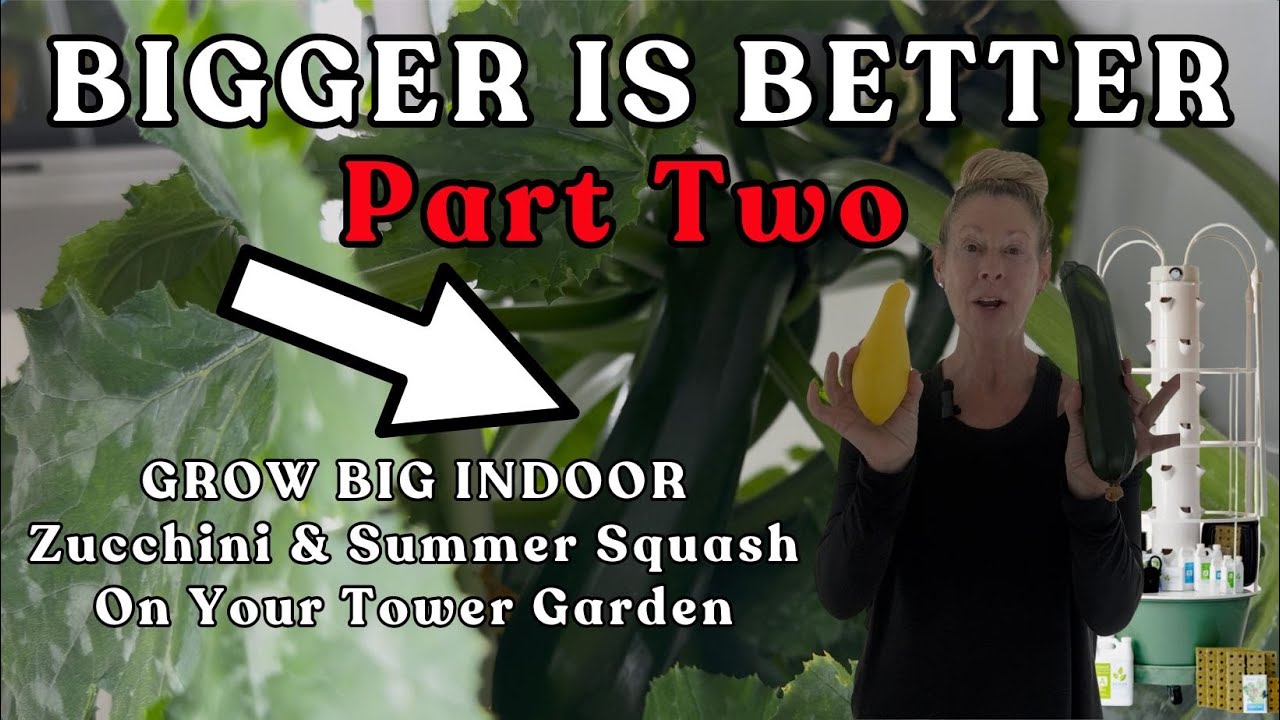 Bigger Is Better Part 2~Grow Grocery Store Size Summer & Zucchini #towergarden #verticalfarming