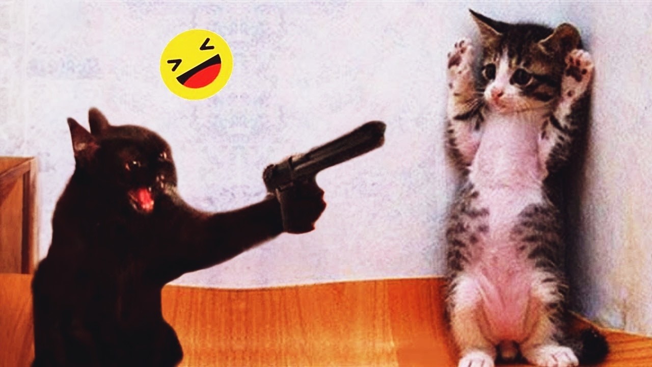 Try Not To Laugh 😋 Funniest Cats & Dogs 😻 Funny Animals