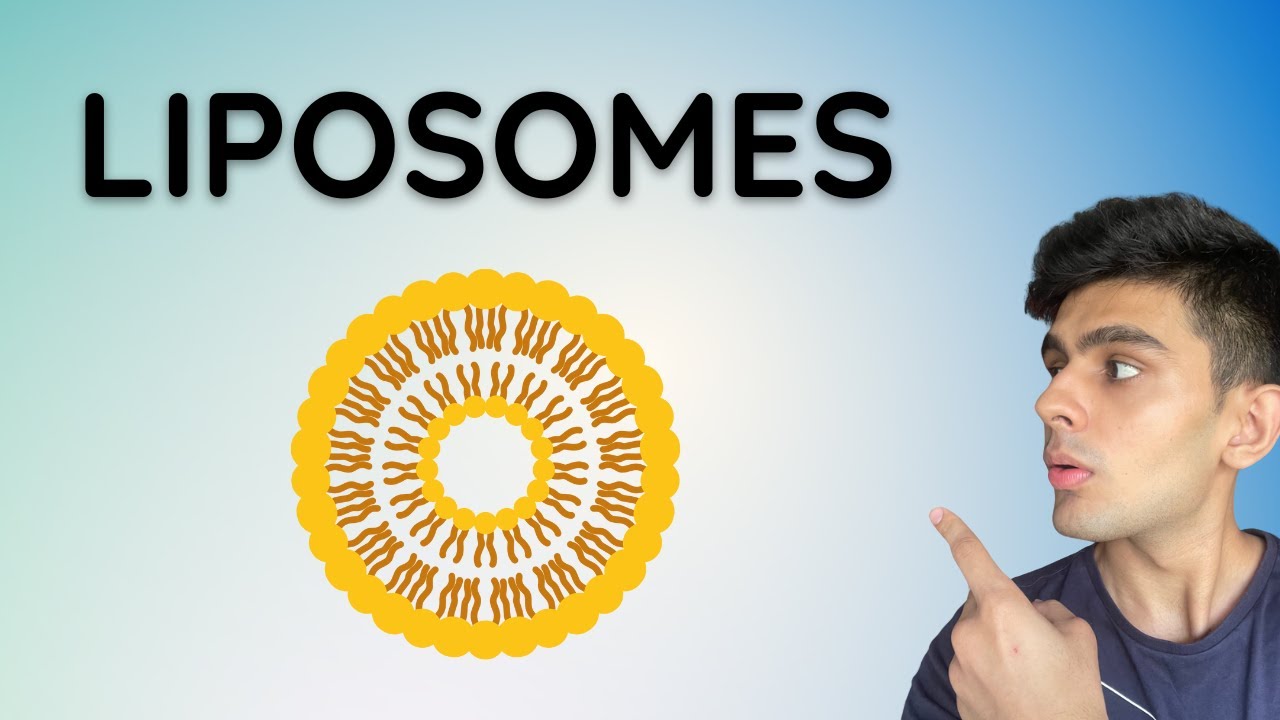 Liposomes Explained | Novel Drug Delivery Systems |