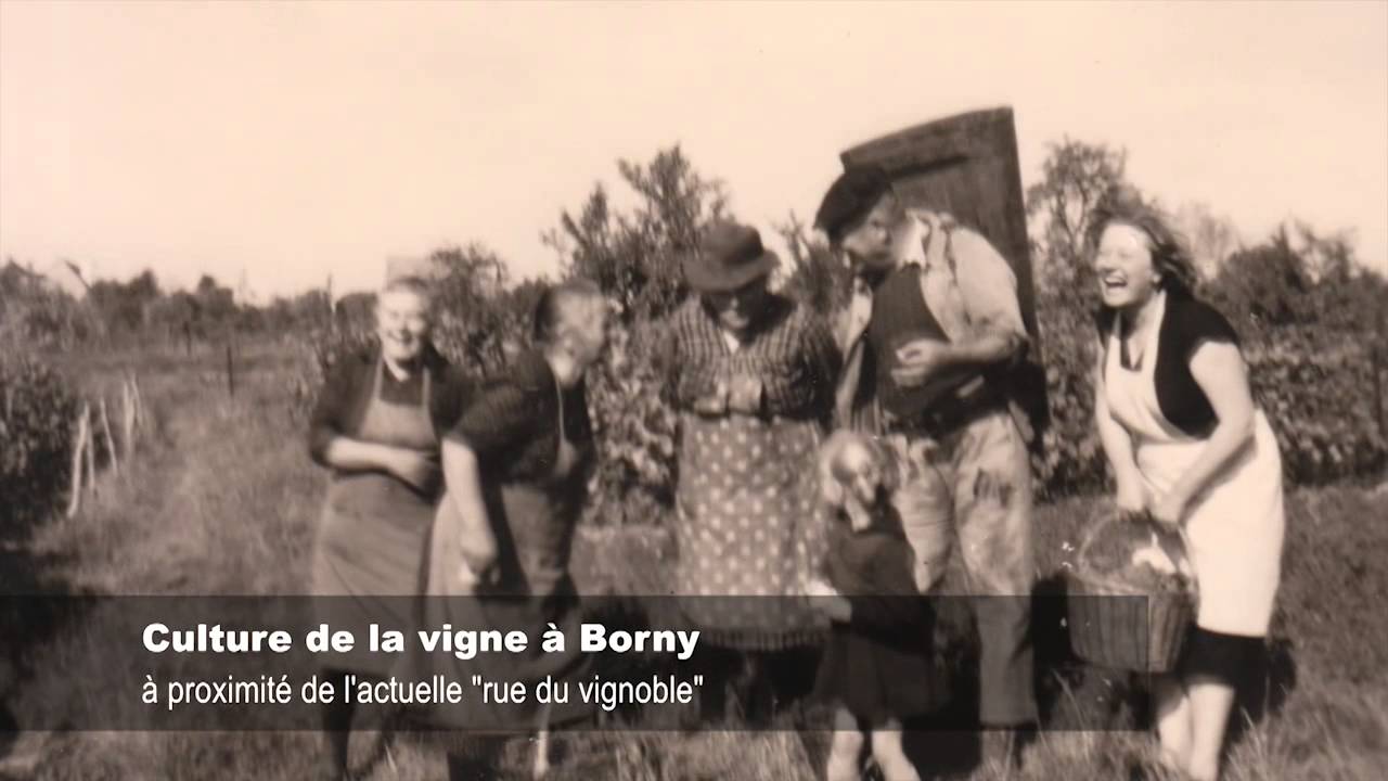 Histoire du rattachement du village de Borny à Metz