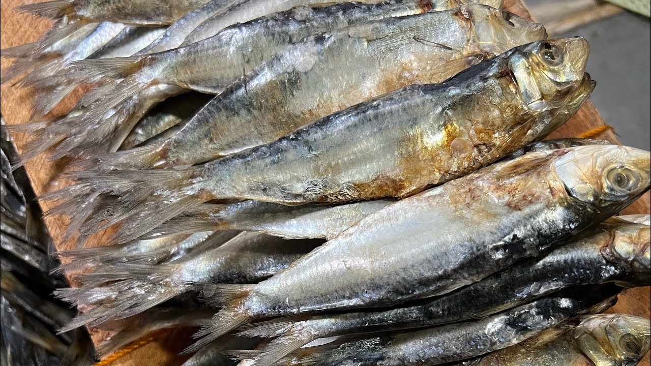 JACKPOT TAYO SA DRIEDFISH O TUYO SA TAG-ULAN by Roseldas choices