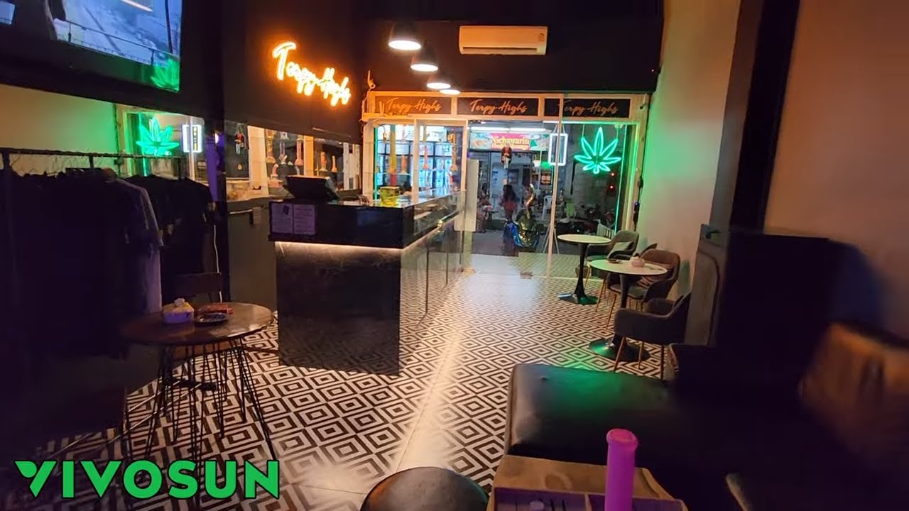 FULL UPDATE, IM BACK!! CAFE, BREEDING, COMMERCIAL FACILITY, ANOTHER NEW ROOM AND HARVEST NUMBERS