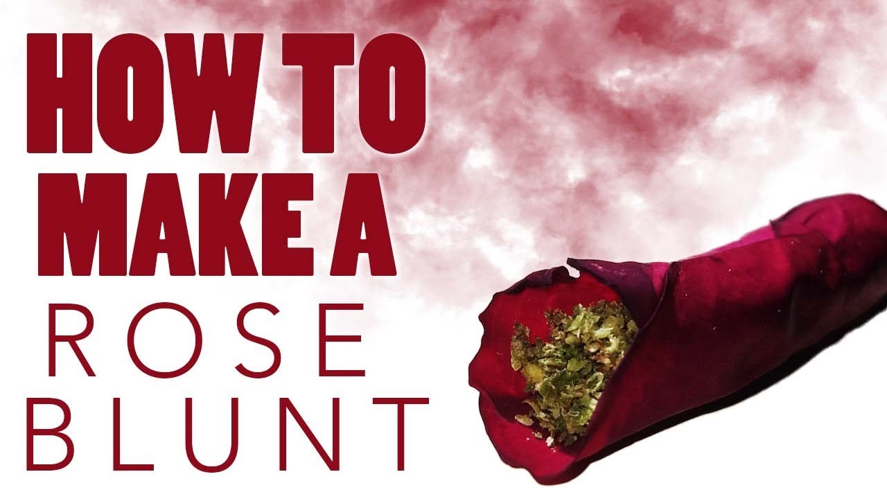 HOW TO MAKE A ROSE BLUNT!!