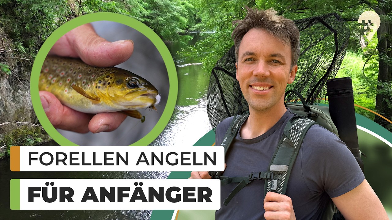 Forellen-Angeln im Harz: So geht Fliegenfischen (nicht)! 🎣 | Doku