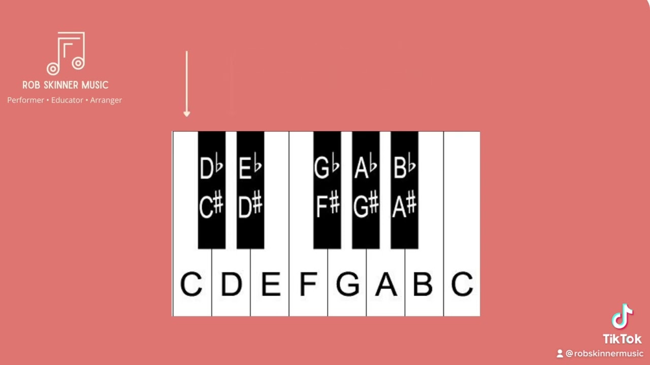 What are tones and semitones?