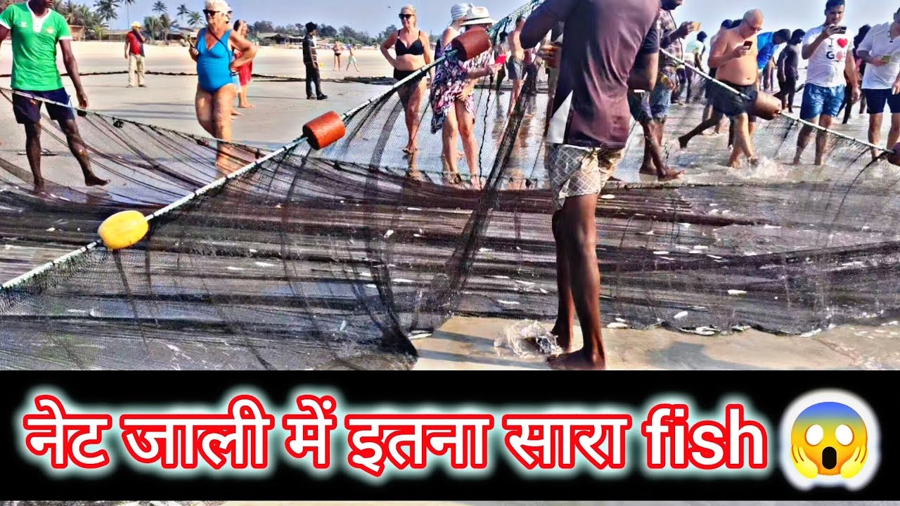 Aaj ki Fishing: Net Jali se Machhli pakadne ka asli maza.#fishing #netfishing