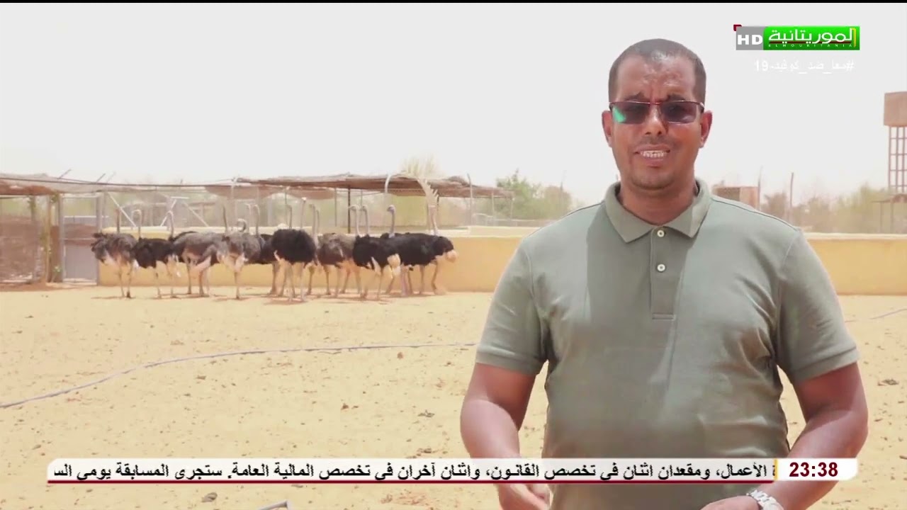موريتانيا الأعماق (الحظيرة الوطنية لآوليكات)