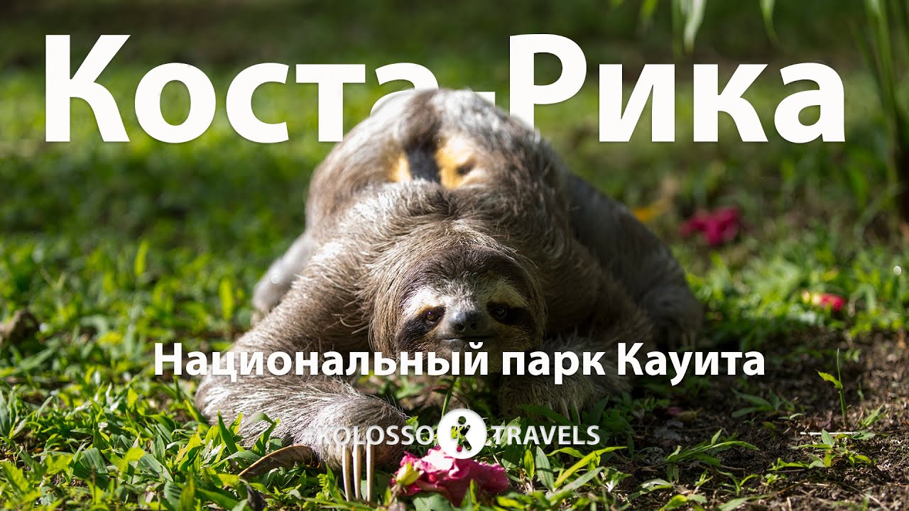 Kolossotravels. Коста-Рика. Национальный парк Кауита