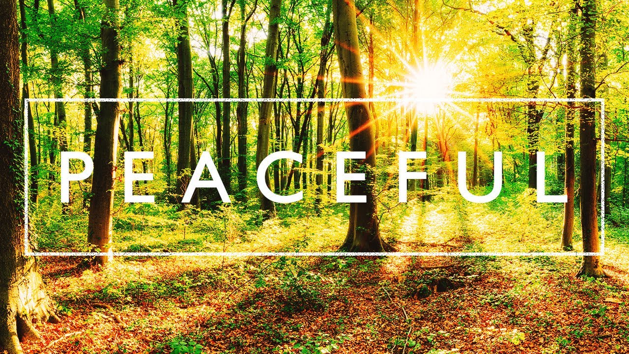 Calm Music with Nature Scenes - Relaxing Piano Music with Beautiful Landscapes