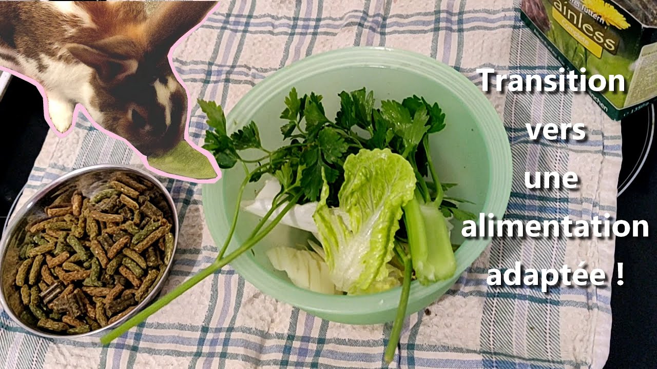 {info} Changer toute l'alimentation de son lapin