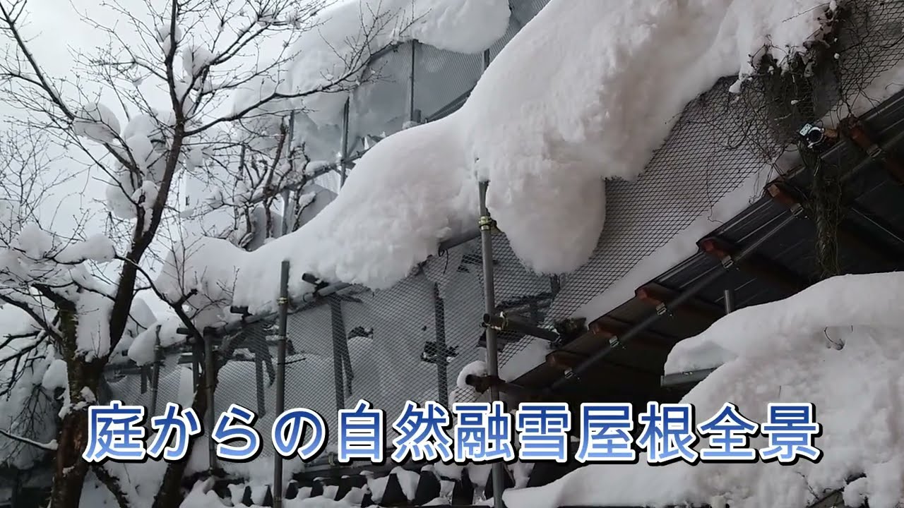 2026年１月31日(土 )自然融雪屋根