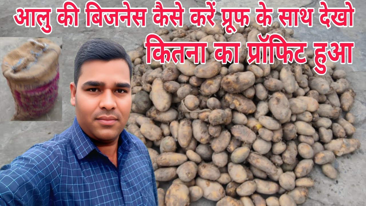 आलु की बिजनेस कैसे करें प्रूफ के साथ देखो कितना का प्रॉफिट हुआ। Small Business Idea #GuleshBhaskar 