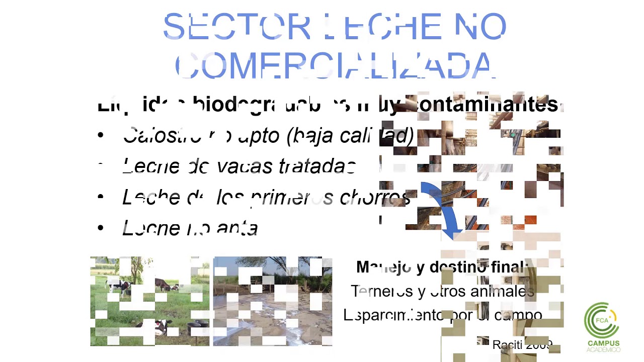 Residuos y gestión de efluentes (Parte 1)
