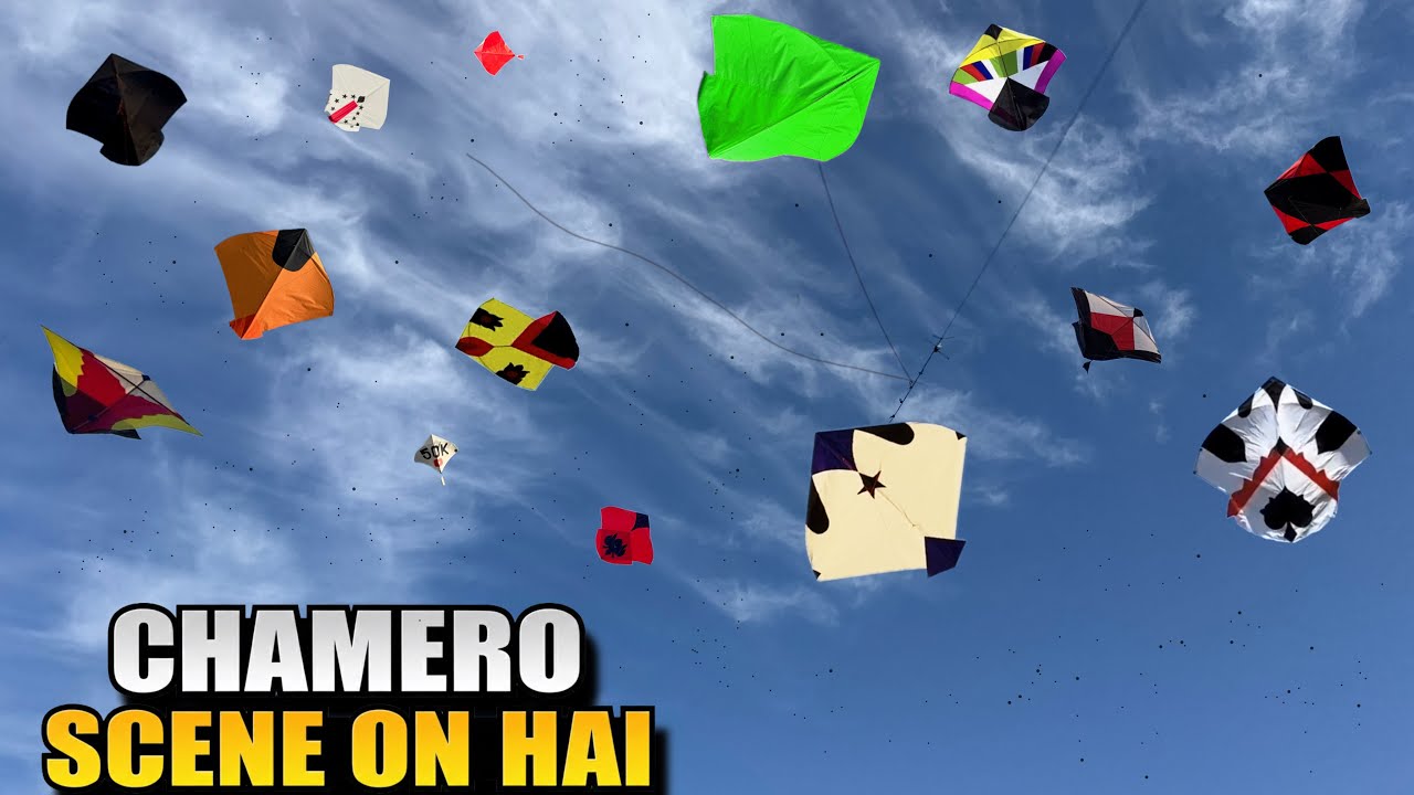Looting & Dubling Others Kites || Trying To Catching Biggest Kite 😱 || Cuting Other Kite ! 