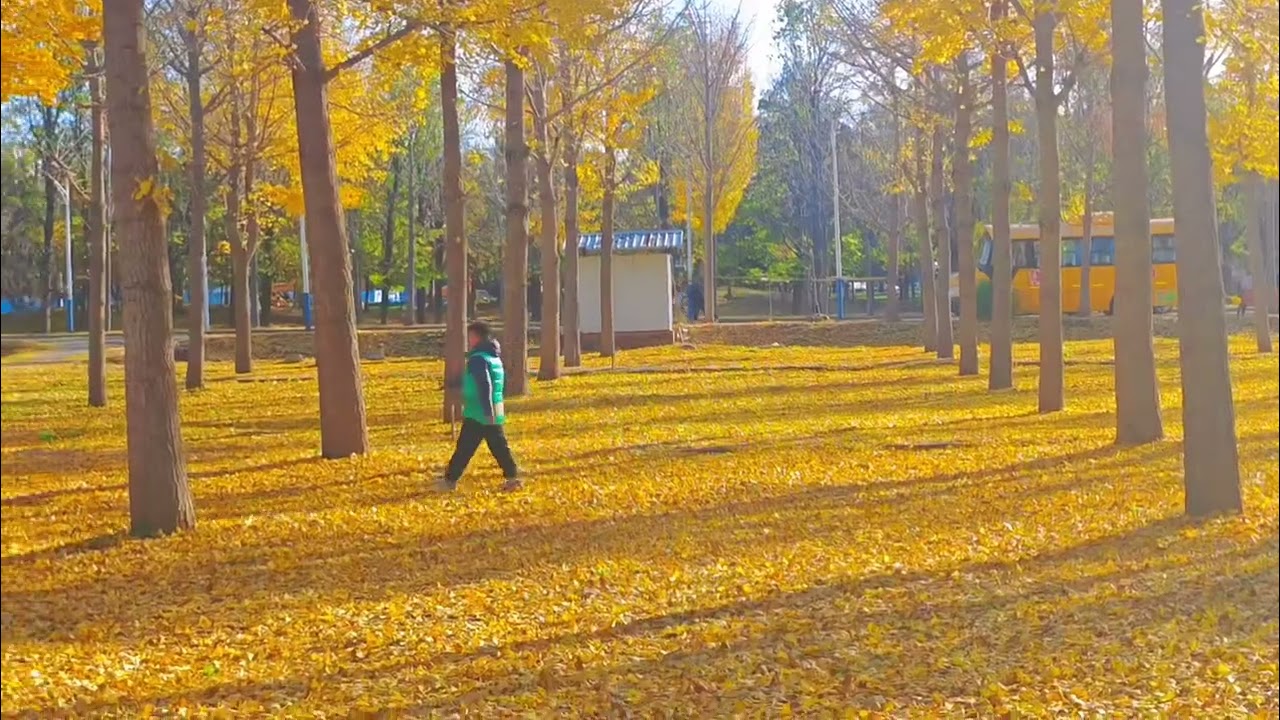 2025年11月29日