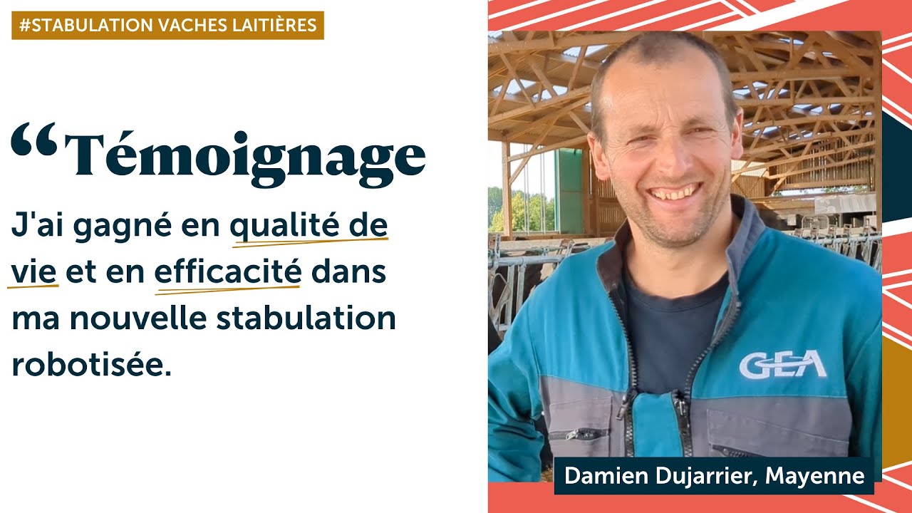 Une stabulation robotisée Roiné confortable et efficace ✅