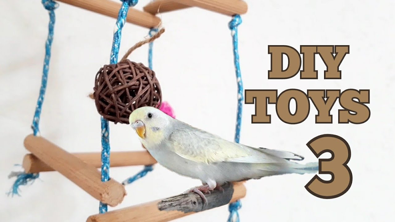 DIY: 3 simple budgie toys 🔨