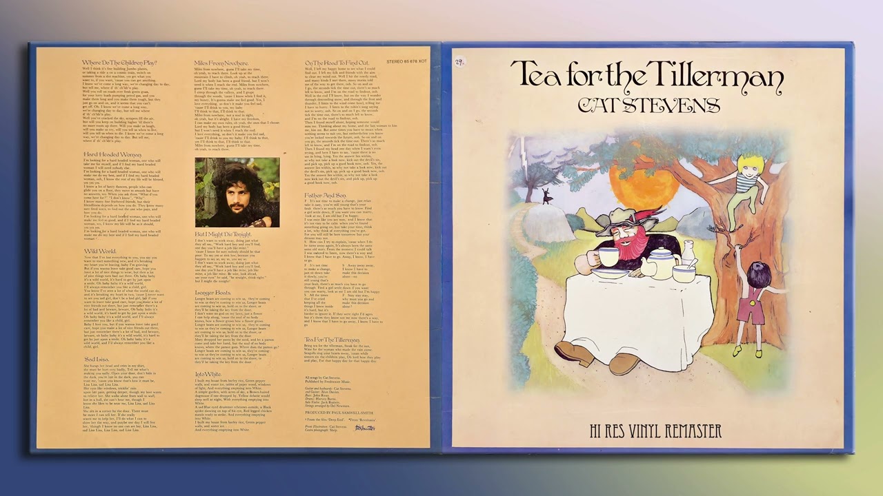 Cat Stevens - Wild World - HiRes Vinyl Remaster