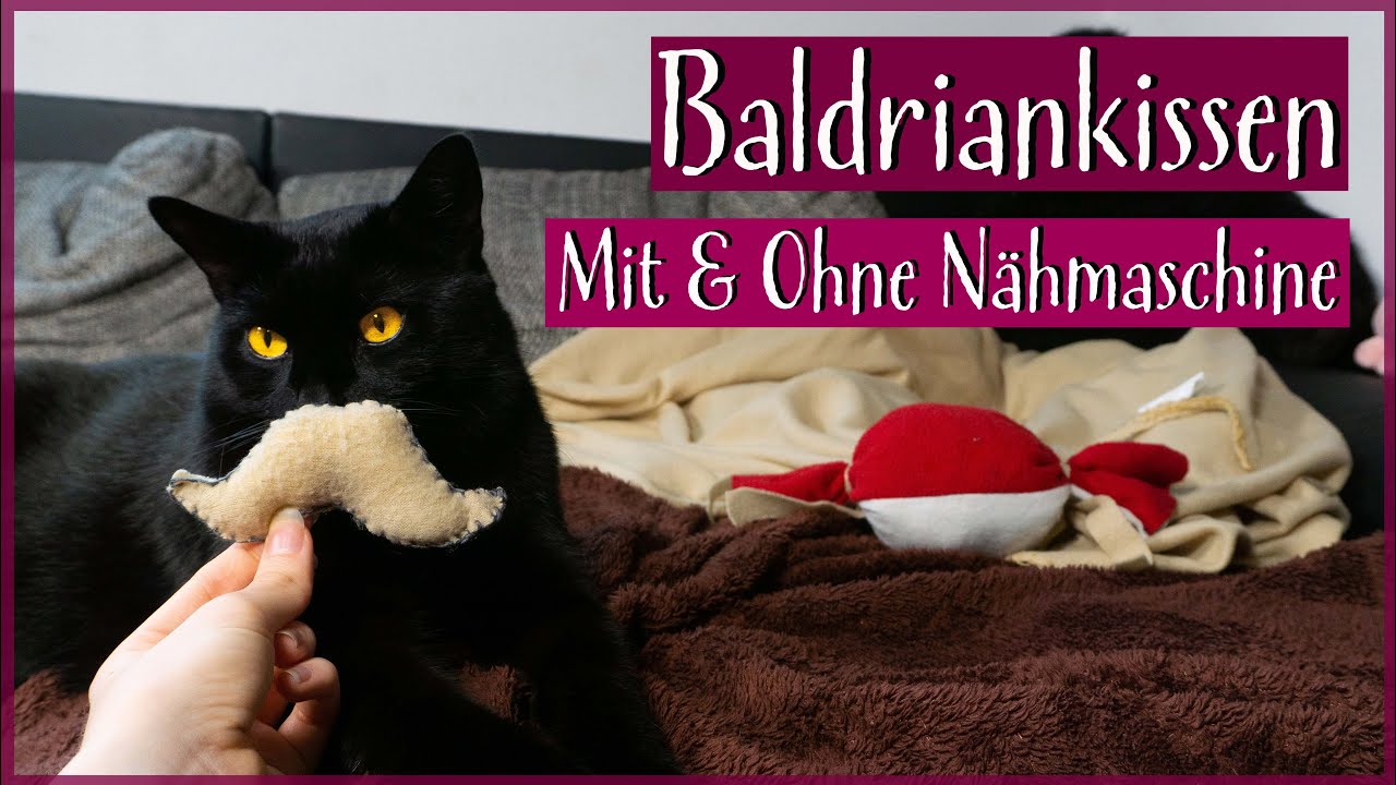 DIY Baldriankissen für Katzen| Ohne & mit Nähmaschine | Günstiges Katzenspielzeug