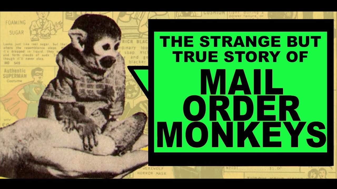 Mail Order Monkey Madness!