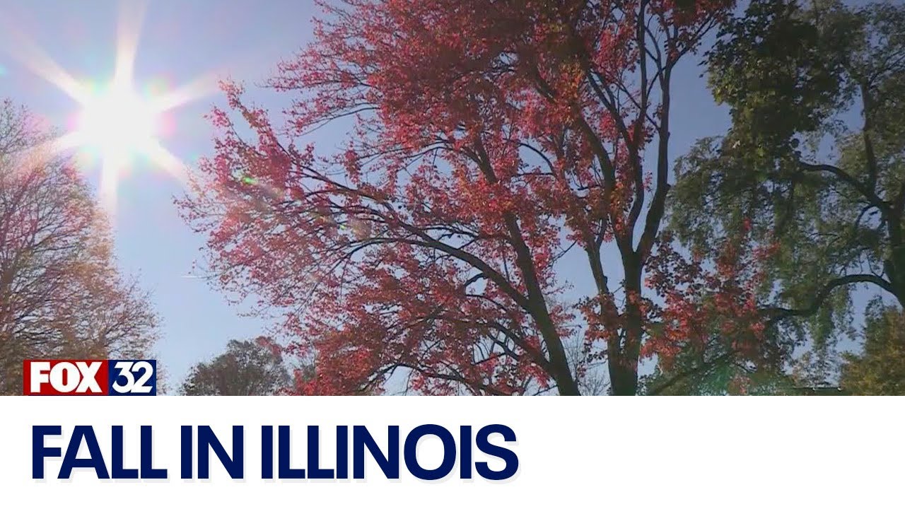 Best places to see fall colors in Illinois