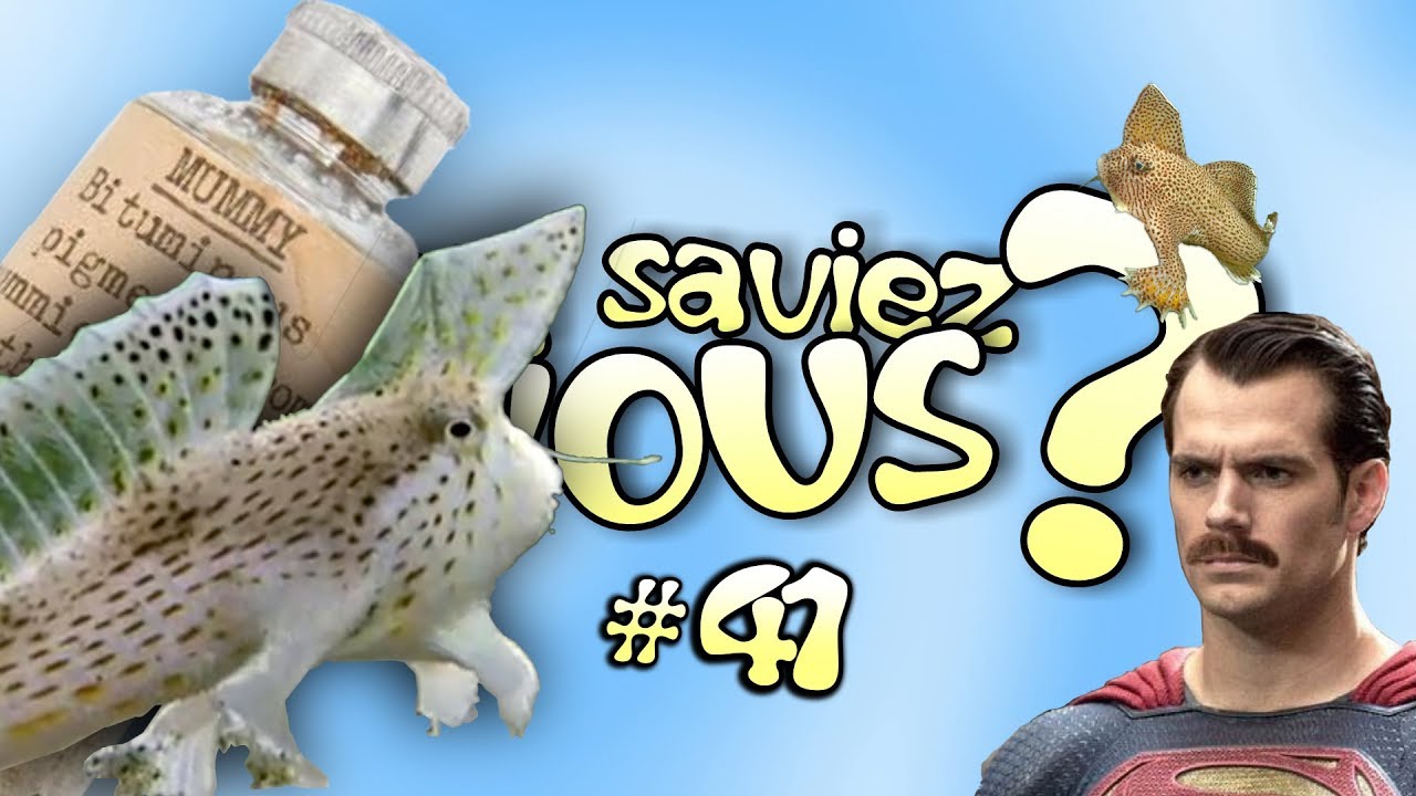 Le Saviez-Vous ? # 41 [Anecdotes Historiques et Insolites]