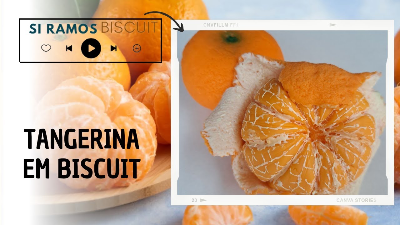 Tangerina em Biscuit (Parte I) - Si Ramos Biscuit