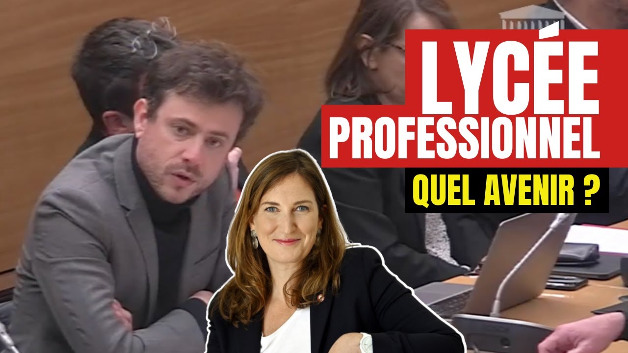 Quel avenir pour les lyc&eacute;es professionnels ?