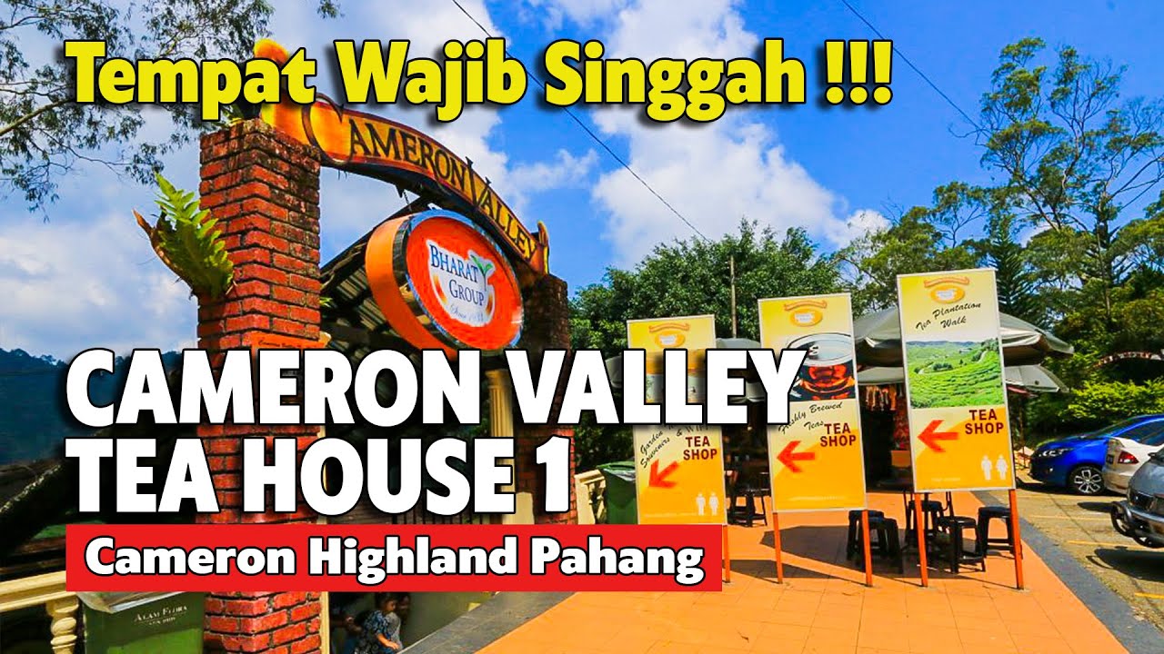 CAMERON VALLEY TEA HOUSE 1 | BHARAT TEA PLANTATION | TEMPAT MENARIK DI CAMERON HIGHLAND