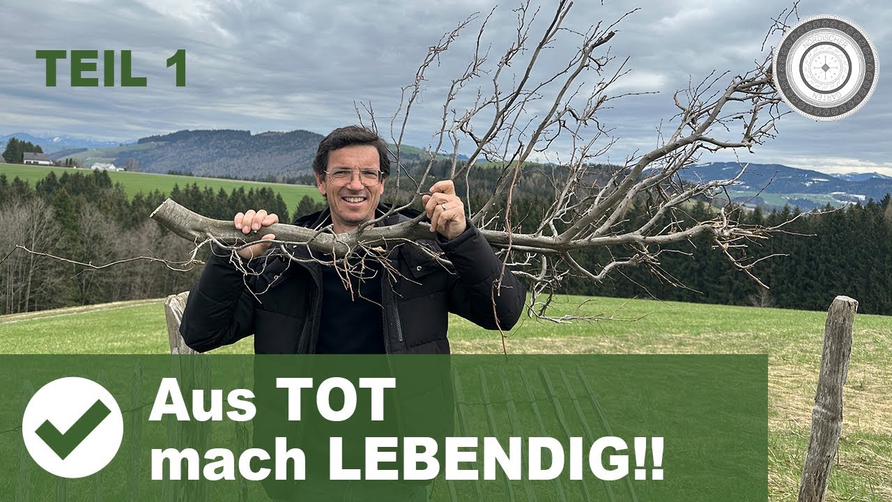 BENJESHECKE - DIE LEBENDIGSTE HECKE DER WELT, so förderst du deine Vielfalt im Garten
