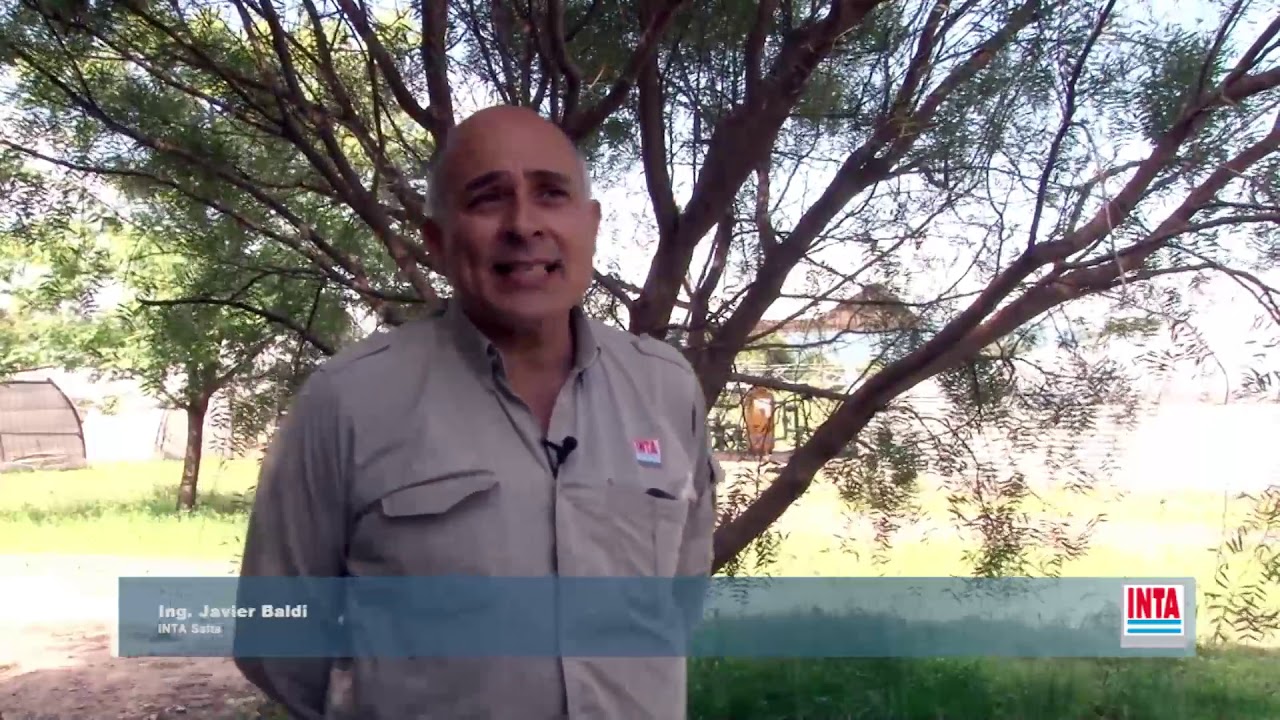 Sistema de Riego Presurizado - Goteo