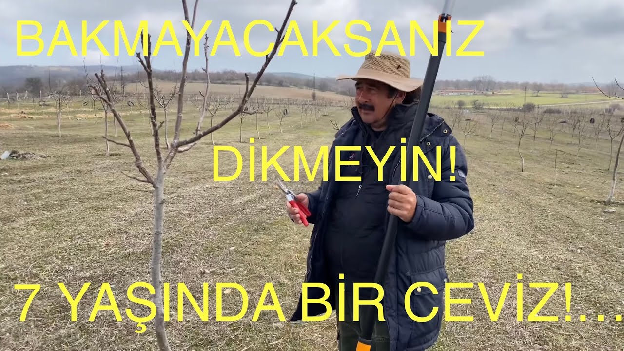 7 YAŞINDA KÖTÜ BİR BAHÇE BAKALIM DÜZELTEBİLECEKMİYİZ? Ceviz Adamın Günlüğü