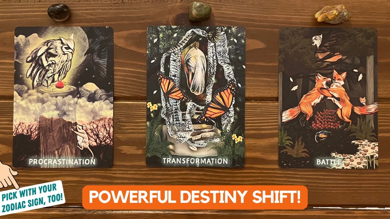 What's The Universe Preparing You For? | Timeless Reading