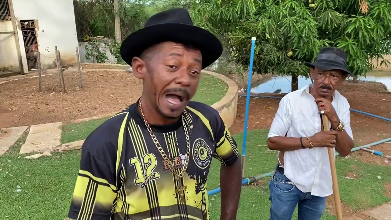 T&Otilde;E DE TIRINGA PEGA NA SALAMANTA, A COBRA MORDEDEIRA 😂 | CH&Aacute;CARA COM&Eacute;DIA SELVAGEM &reg;