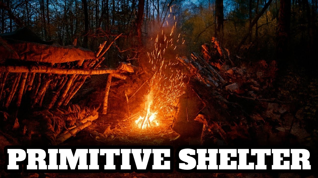 Primitive Bushcraft Shelter Bild | Natural Materials Only + Fire & Cozy Night in the Woods | ASMR 4K