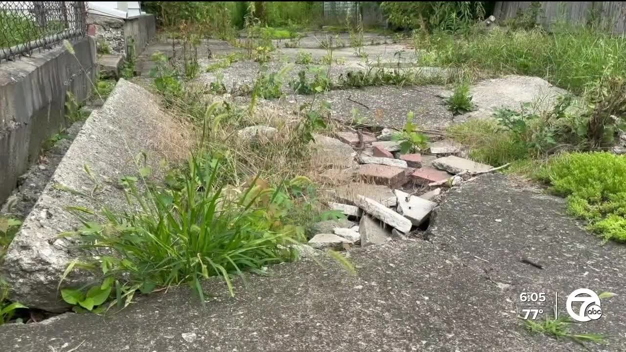 Detroit alley depressions reveal a city-wide sewer crisis affecting more than 100,000