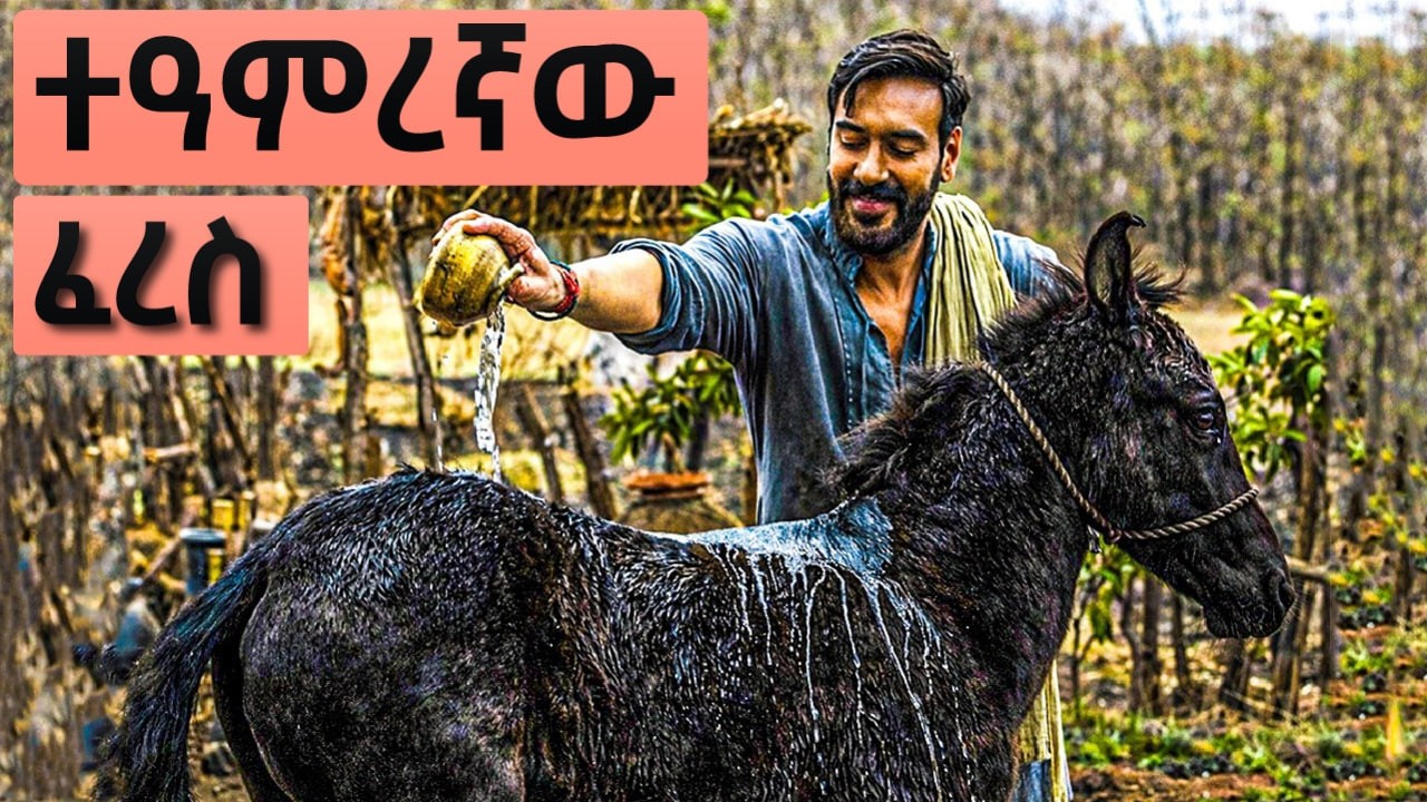 በመንደሩ የተናቀ ሰው ነበረ ፣ ግን በአንድ ፈረስ ምክኒያት......... | የህንድ ፊልም ታሪክ ባጭሩ